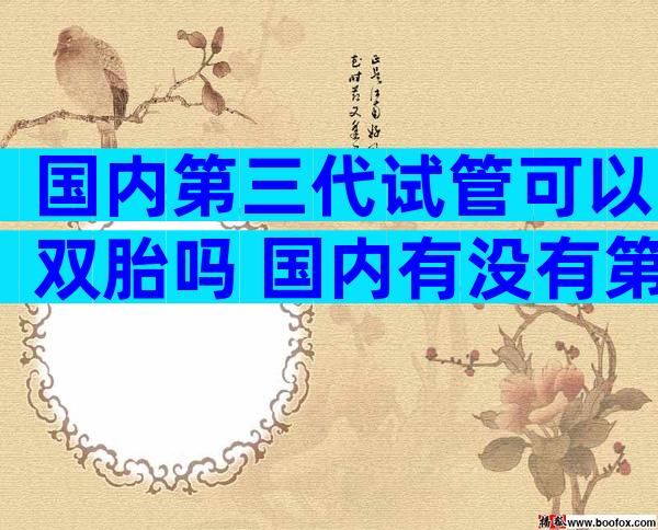 国内第三代试管可以双胎吗 国内有没有第三代试管